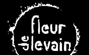 Logo Fleur De Levain